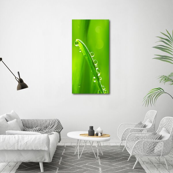 Vertikální Foto obraz canvas Stéblo trávy ocv-132303830