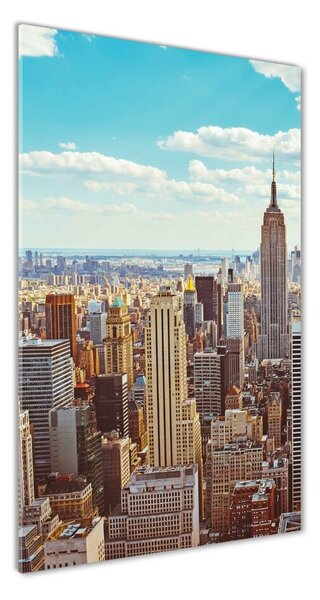 Vertikální Fotoobraz na skle Nový York osv-133162590