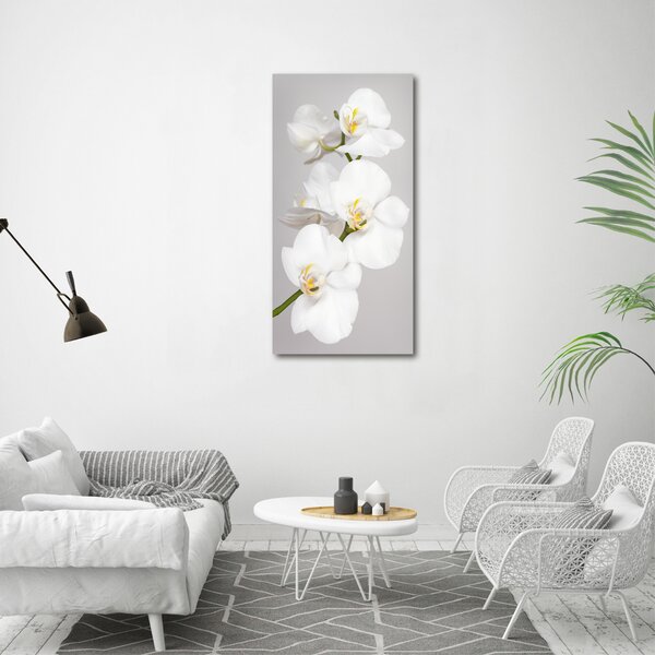 Vertikální Foto obraz na plátně Bílá orchidej ocv-133396361