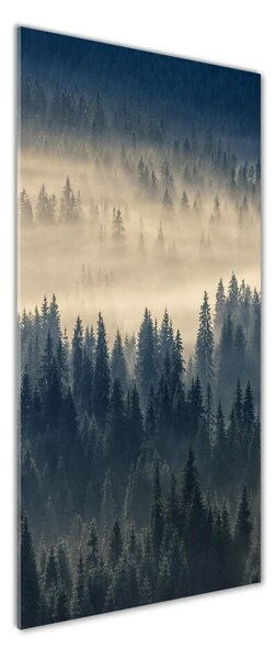 Vertikální Foto obraz fotografie na skle Mlha nad lesem osv-134224571