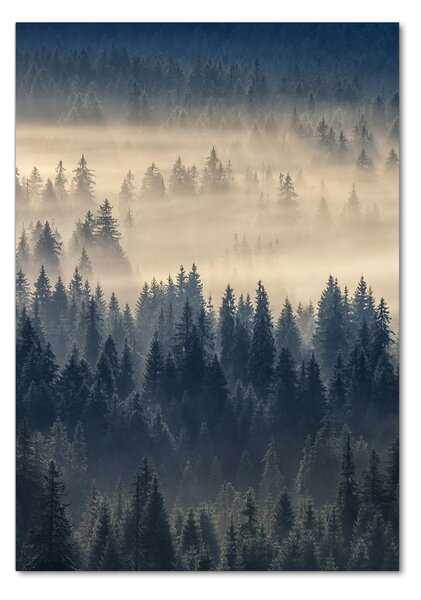 Vertikální Foto obraz fotografie na skle Mlha nad lesem osv-134224571