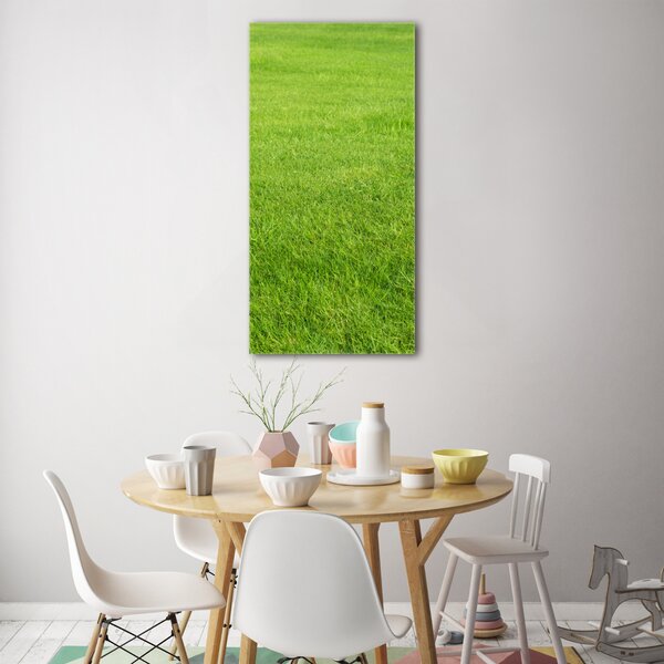 Vertikální Foto obraz sklo tvrzené Zelená tráva osv-141153462
