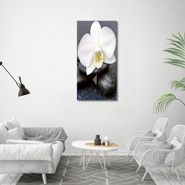 Vertikální Foto obraz na plátně Orchidej a kameny ocv-143014442