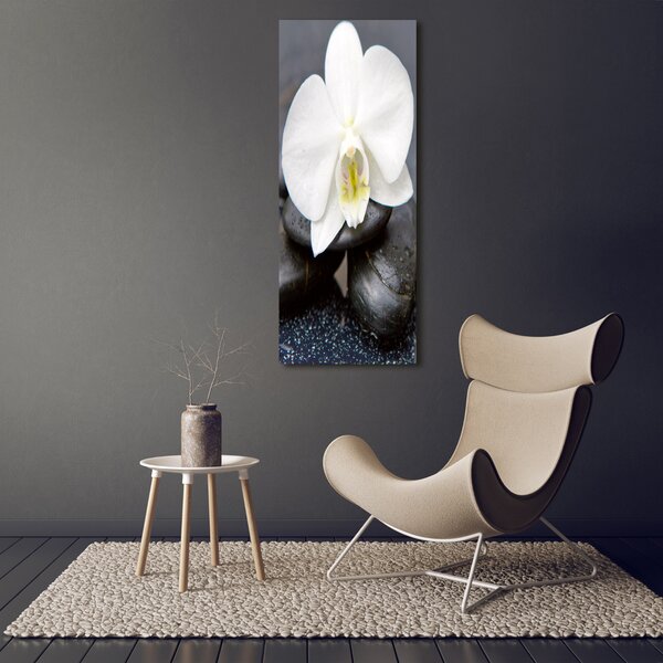 Vertikální Foto obraz na plátně Orchidej a kameny ocv-143014442