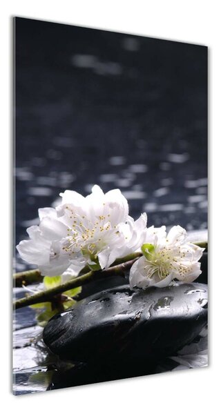 Vertikální Fotoobraz na skle Květiny a kamení osv-14431033