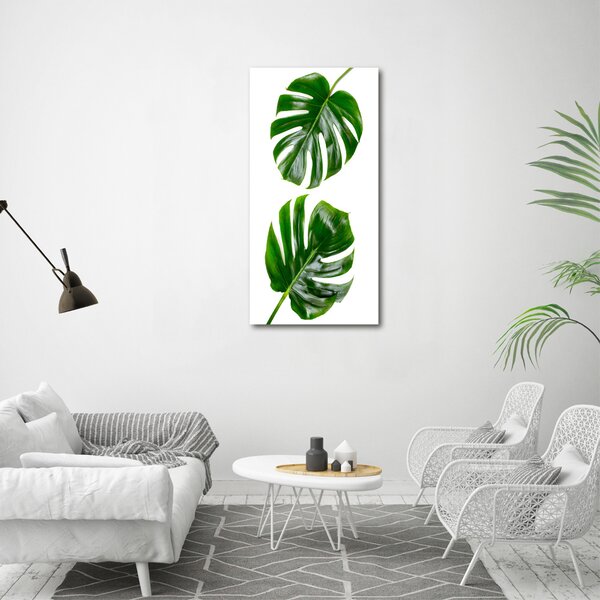 Vertikální Vertikální Foto obraz na plátně do obýváku Monstera ocv-145760830