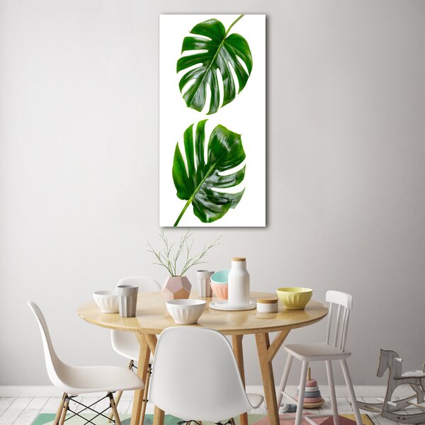 Vertikální Foto-obrah sklo tvrzené Monstera osv-145760830