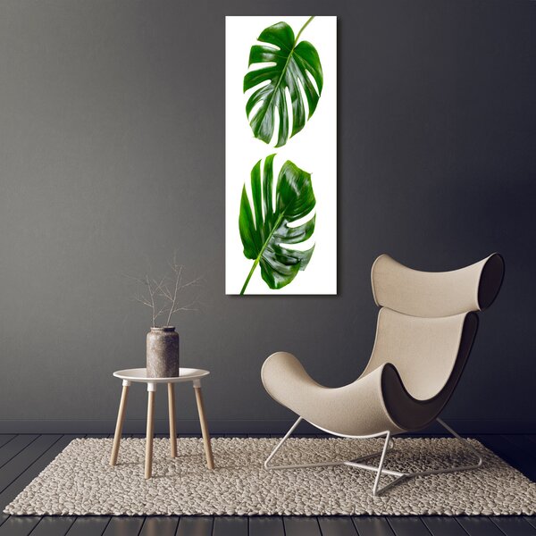 Vertikální Vertikální Foto obraz na plátně do obýváku Monstera ocv-145760830