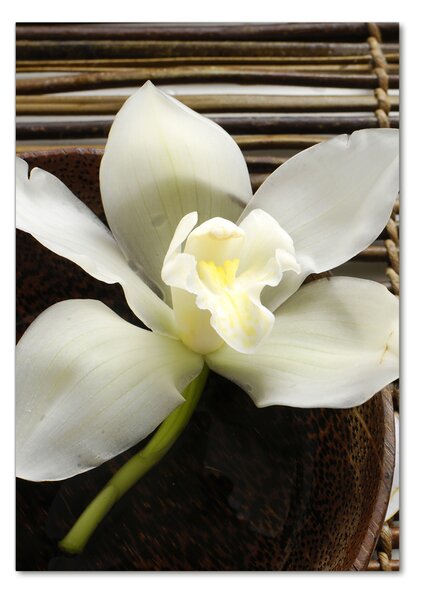 Vertikální Foto-obrah sklo tvrzené Orchidej osv-14760003