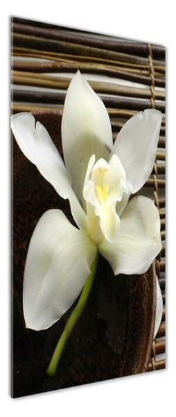 Vertikální Foto-obrah sklo tvrzené Orchidej osv-14760003
