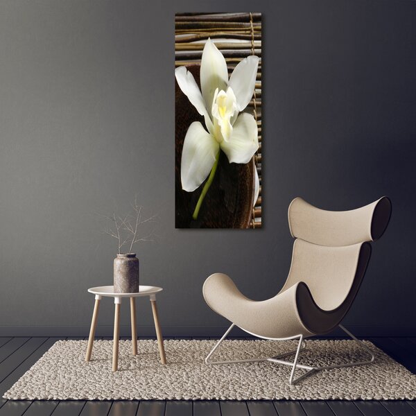 Vertikální Vertikální Foto obraz na plátně do obýváku Orchidej ocv-14760003