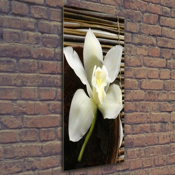 Vertikální Foto-obrah sklo tvrzené Orchidej osv-14760003