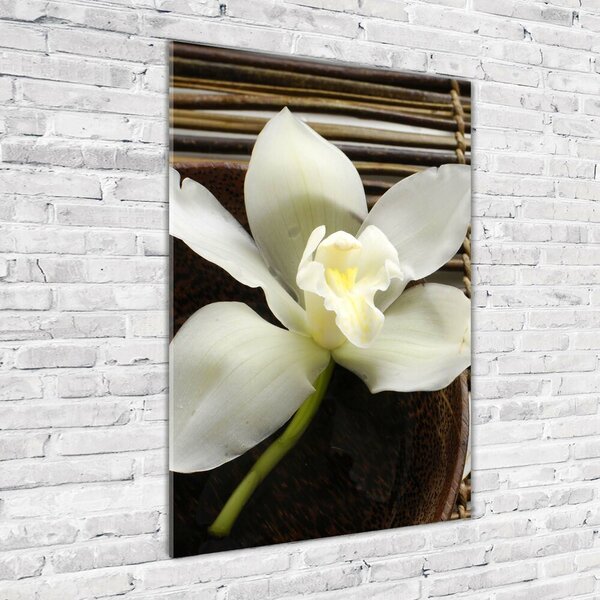 Vertikální Foto-obrah sklo tvrzené Orchidej osv-14760003