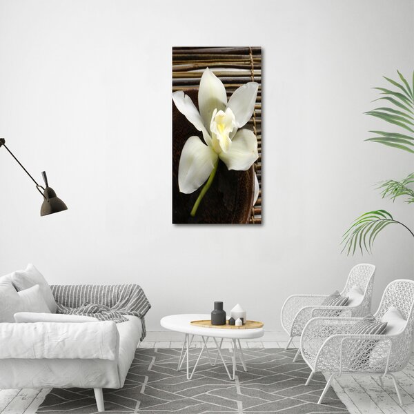 Vertikální Vertikální Foto obraz na plátně do obýváku Orchidej ocv-14760003