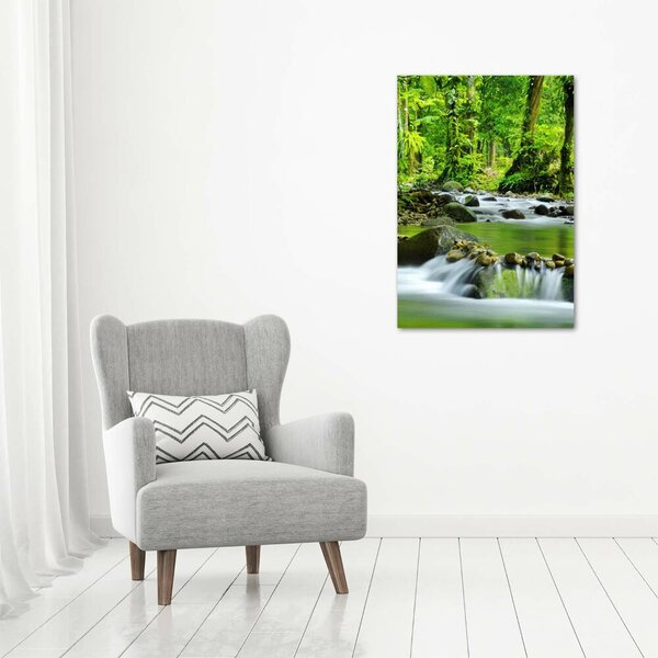 Vertikální Foto obraz canvas Horský potok ocv-15363026