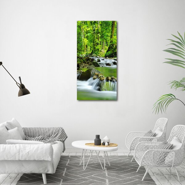 Vertikální Foto obraz canvas Horský potok ocv-15363026