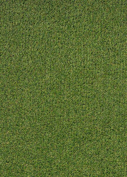 Breno Umělá tráva YARA Grass olive, šíře 400 cm