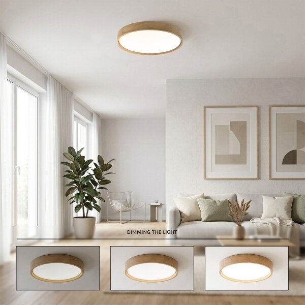 Brilagi - LED Stm stropní svítidlo MANAROLA SMART LED/36W/230V pr. 51 cm + DO