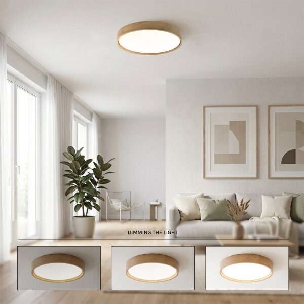 Brilagi - LED Stm stropní svítidlo MANAROLA LED/36W/230V 3000-6500K pr. 51 cm+DO