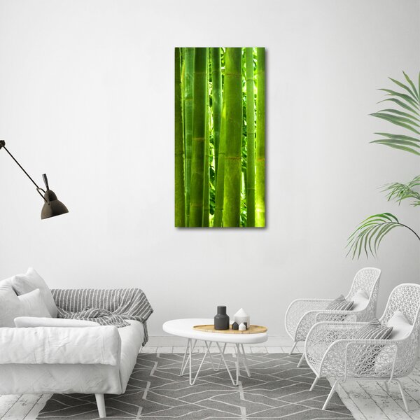 Vertikální Moderní fotoobraz canvas na rámu Bambus ocv-17587007
