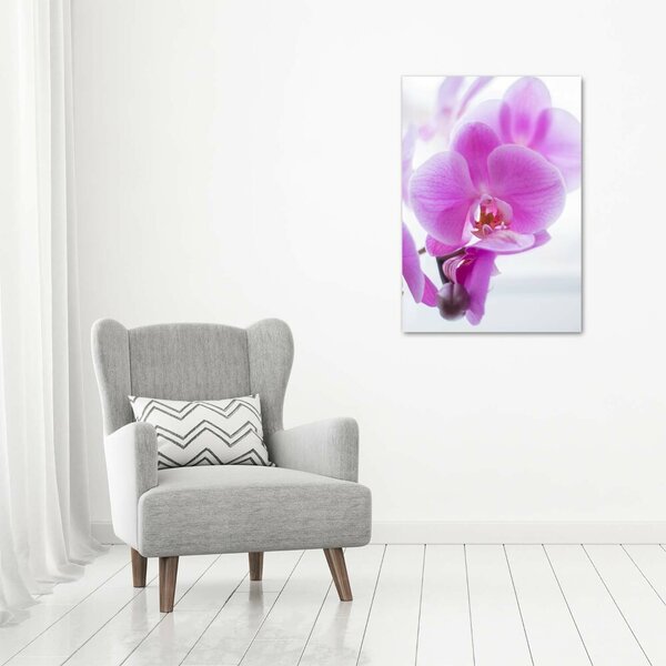 Vertikální Foto obraz na plátně Růžová orchidej ocv-178713472