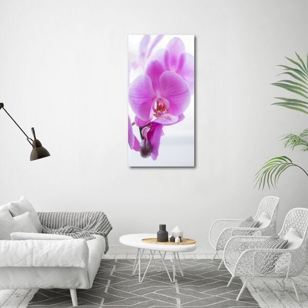 Vertikální Foto obraz na plátně Růžová orchidej ocv-178713472