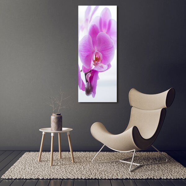Vertikální Foto obraz na plátně Růžová orchidej ocv-178713472