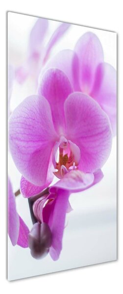 Vertikální Fotoobraz na skle Růžová orchidej osv-178713472