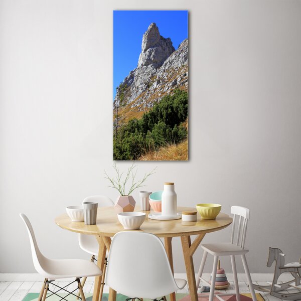 Vertikální Fotoobraz na skle malý Giewont Tatry osv-186285195
