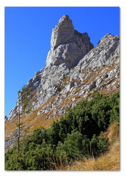 Vertikální Fotoobraz na skle malý Giewont Tatry osv-186285195