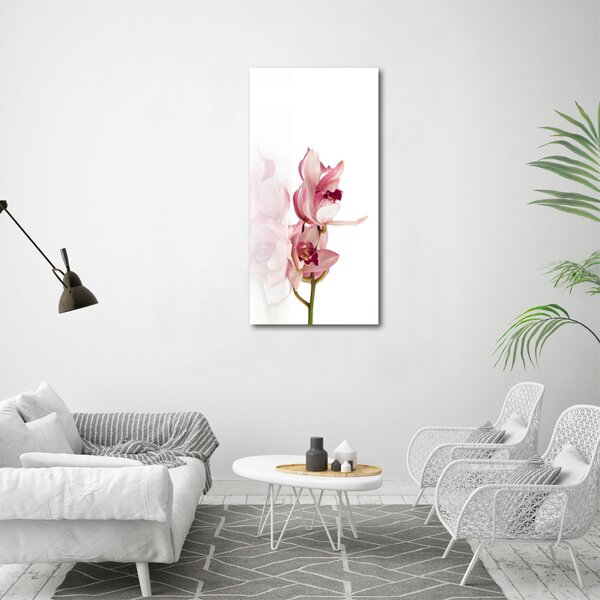 Vertikální Foto obraz na plátně Růžová orchidej ocv-18886978