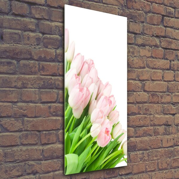 Vertikální Fotoobraz na skle Růžové tulipány osv-22467427