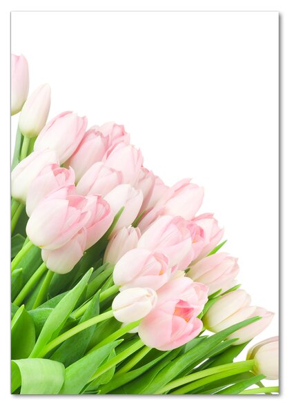Vertikální Fotoobraz na skle Růžové tulipány osv-22467427