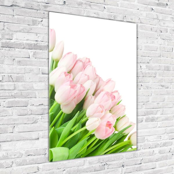 Vertikální Fotoobraz na skle Růžové tulipány osv-22467427
