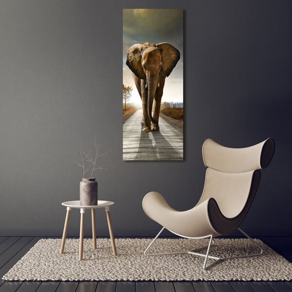 Vertikální Foto obraz skleněný svislý Chodící slon osv-25742331