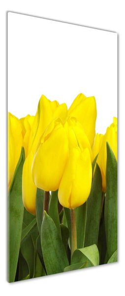 Vertikální Foto obraz fotografie na skle Žluté tulipány osv-2665979
