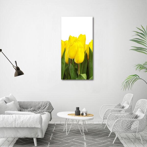 Vertikální Foto obraz na plátně Žluté tulipány ocv-2665979