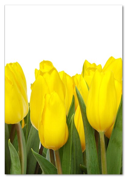Vertikální Foto obraz fotografie na skle Žluté tulipány osv-2665979