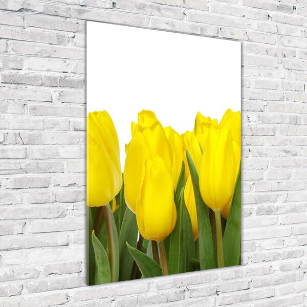 Vertikální Foto obraz fotografie na skle Žluté tulipány osv-2665979