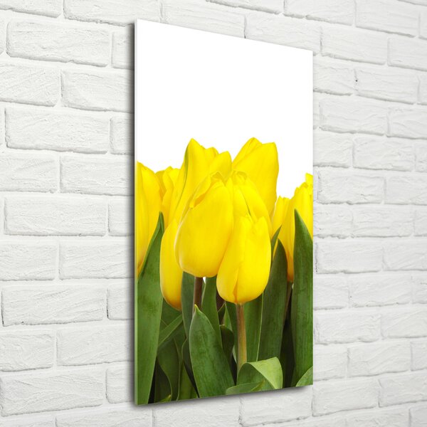 Vertikální Foto obraz fotografie na skle Žluté tulipány osv-2665979