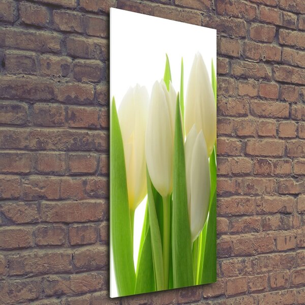 Vertikální Foto obraz fotografie na skle Bílé tulipány osv-28819889