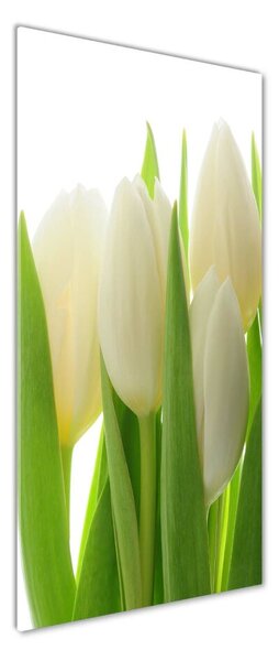 Vertikální Foto obraz fotografie na skle Bílé tulipány osv-28819889