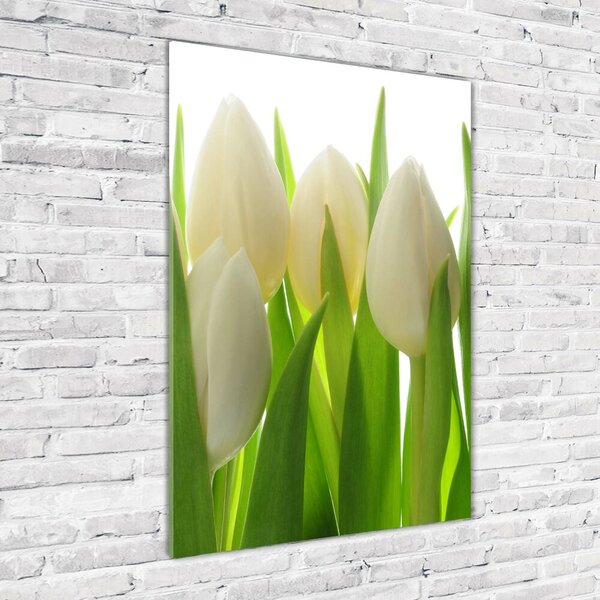 Vertikální Foto obraz fotografie na skle Bílé tulipány osv-28819889