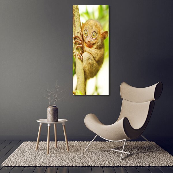 Vertikální Foto obraz canvas Nártoun celebeský ocv-29559454