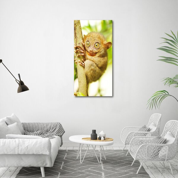 Vertikální Foto obraz canvas Nártoun celebeský ocv-29559454