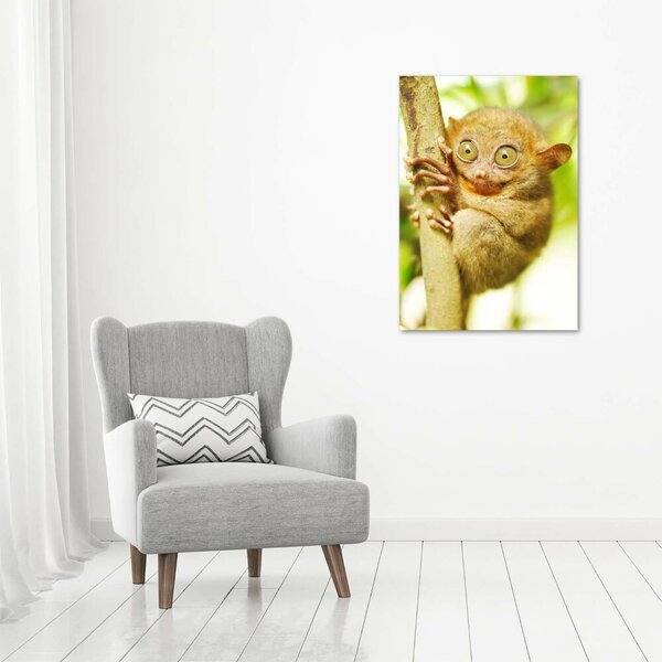 Vertikální Foto obraz canvas Nártoun celebeský ocv-29559454