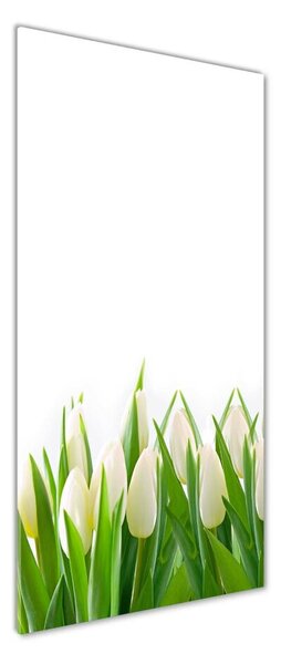 Vertikální Foto obraz fotografie na skle Bílé tulipány osv-30153186