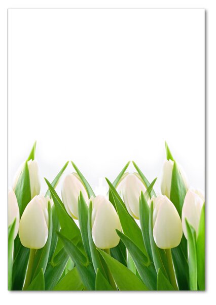 Vertikální Foto obraz fotografie na skle Bílé tulipány osv-30153186