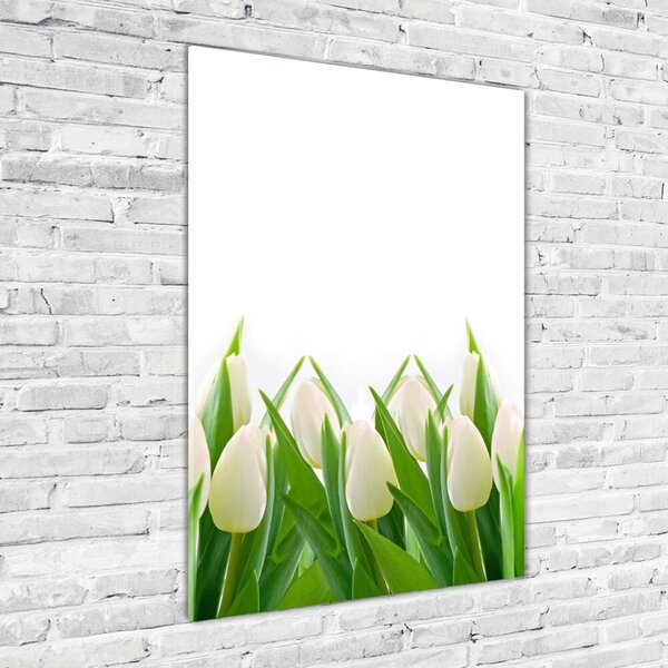 Vertikální Foto obraz fotografie na skle Bílé tulipány osv-30153186