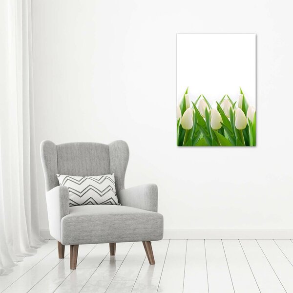 Foto-obraz canvas do obýváku Bílé tulipány ocv-30153186
